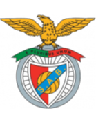 https://img.ao-di.com/img/football/team/13d8d22b32e0803f939082416da63541.png